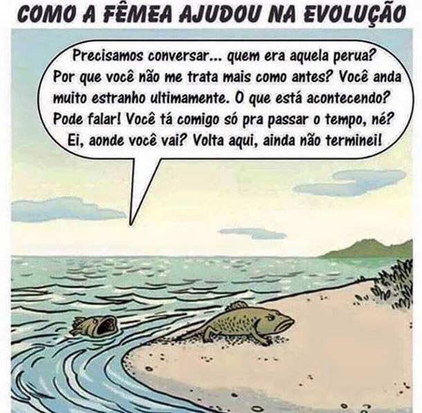 evolucao