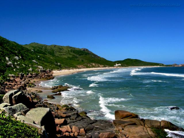 sexo a força sexo nas praias sexo a força sexo nas praias