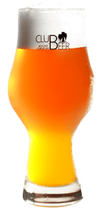 copo-ipa