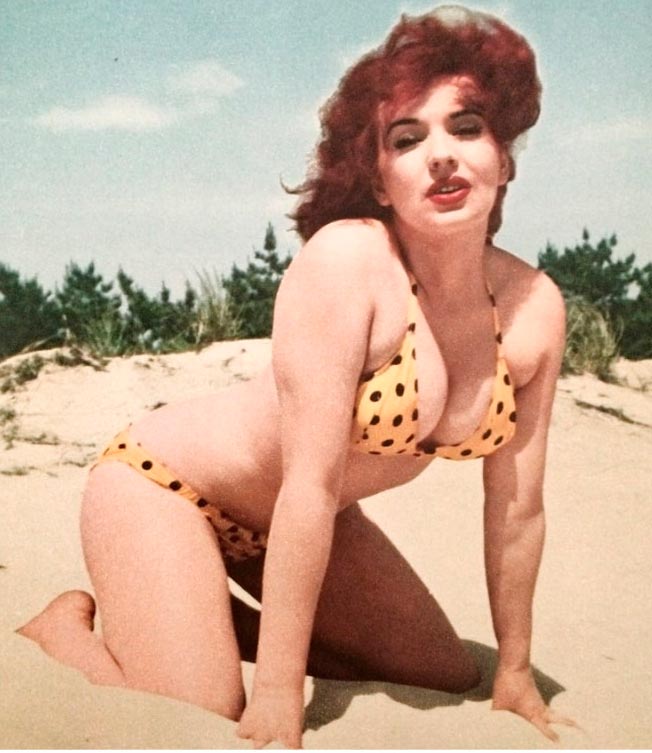 pin up anos 60