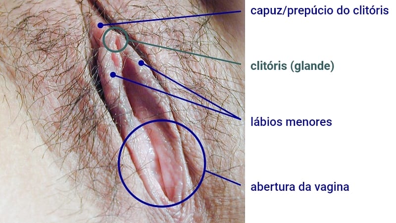 saiba como fazer ela gozar muito gostoso